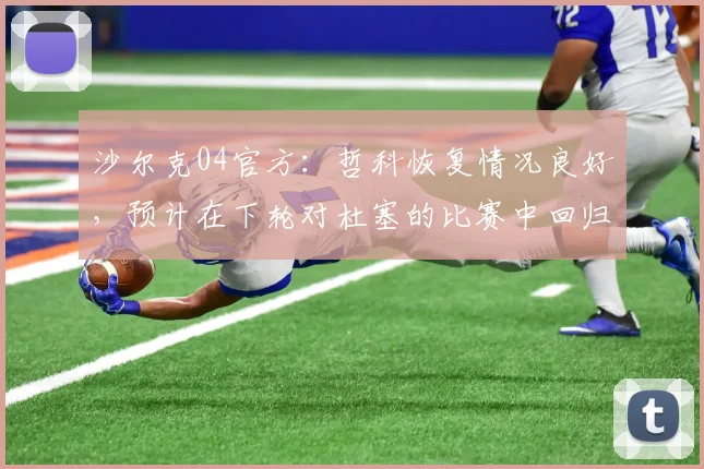 沙尔克04官方：哲科恢复情况良好，预计在下轮对杜塞的比赛中回归